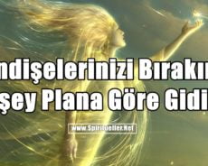 Endişelerinizi Bırakın. Herşey Plana Göre Gidiyor