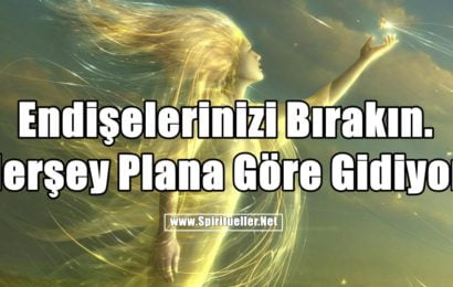 Endişelerinizi Bırakın. Herşey Plana Göre Gidiyor