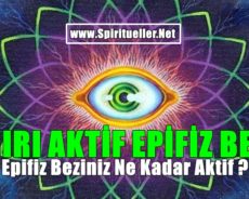 Epifiz Beziniz Ne Kadar Aktif ? Aşırı Aktif Epifiz Bezini Hafifletmek İçin Yapabilecekleriniz