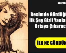 Resimde Gördüğünüz İlk Şey Gizli Yanlarınızı Ortaya Çıkaracak