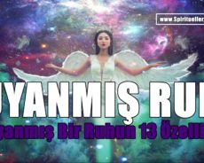Uyanmış Bir Ruhun 13 Özelliği