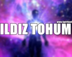 Bir Yıldız Tohumu Olduğunuzu Ve İnsanlığa Yardım Etmek İçin Burada Olduğunuzu Gösteren 7 İşaret