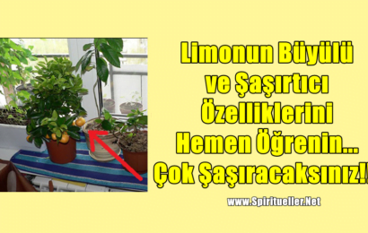 Limonun Büyülü ve Şaşırtıcı Özelliklerini Hemen Öğrenin… Çok Şaşıracaksınız!!!