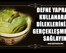 Defne Yaprağı Kullanarak Dileklerinizin Gerçekleşmesini Sağlayacak Basit Bir Ritüel