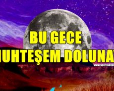 Bu Geceki Dolunayı Kaçırmak İstemezsiniz, Çünkü 11 Yıl Bu Muhteşem Şeyi Bir Daha Göremeyeceğiz
