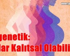 Epigenetik: Anılar Kalıtsal Olabilir