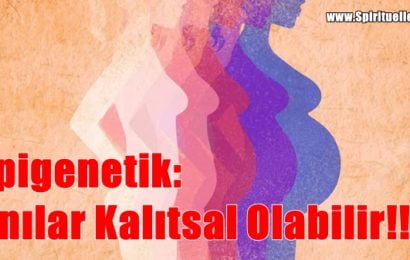 Epigenetik: Anılar Kalıtsal Olabilir