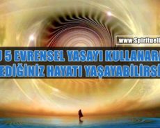 Bu 5 Evrensel Yasayı Kullanarak İstediğiniz Hayatı Yaşayabilirsiniz