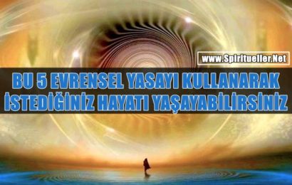 Bu 5 Evrensel Yasayı Kullanarak İstediğiniz Hayatı Yaşayabilirsiniz