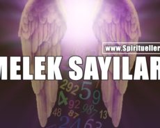 Melek Sayılarının Özel Manevi Anlamları