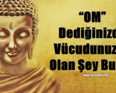 “OM” Dediğinizde Vücudunuzda Olan Şey Budur