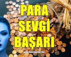 Para,Başarı Ve Sevgi İçin Kış Ritüelleri
