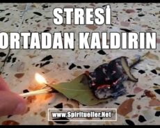 Sadece Bu Bitkinin Yapraklarını Yakmak Stresi Ortadan Kaldıracaktır