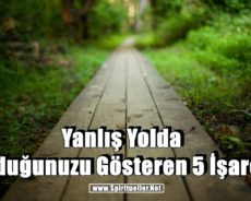 Yanlış Yolda Olduğunuzu Gösteren 5 İşaret
