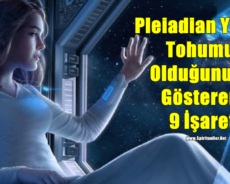 Pleiadian Yıldız Tohumu Olduğunuzu Gösteren 9 İşaret