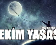 Çekim Yasası Nasıl Çalışır ve Çekim Yasasıyla İstediklerinizi Elde Etmenin  5 Adımı