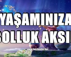 Yaşamınıza Bolluğun Akmasını İstiyorsanız Bu 10 Şeyden Kurtulun