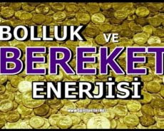Bolluğu Hayatınıza Çekmek İstiyorsanız Bu Uygulamayı Deneyin ve Hayatınızın Nasıl Değiştiğini Görün
