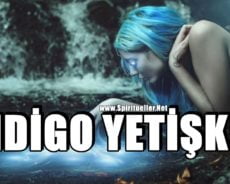 Bu İndigo Yetişkin Özelliklerinden Hangisine Sahipsiniz