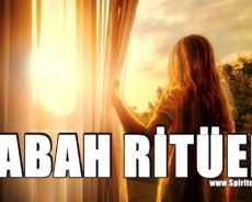 Beyninizin Verimliliğini Artıracak, Ruh Halinizi Geliştirecek 3 Basit Sabah Ritüeli