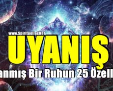 Uyanmış Bir Ruhun 25 Özelliği