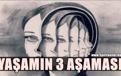 Yaşamın 3 Aşamasını Anlama Yaşamın 3 Aşamasını Anlama