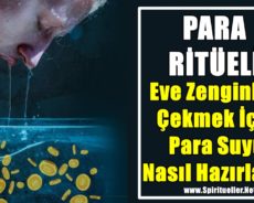 Eve Zenginliği Çekmek İçin Para Suyu Nasıl Hazırlanır