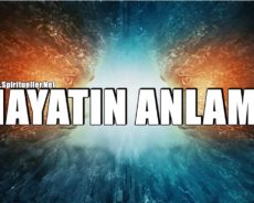 Hayatın Anlamı Ruhun Dünyaya Gelmesi İçin 6 Neden