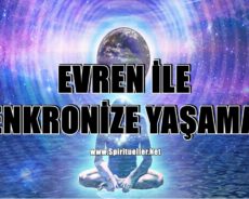 Bu 4 İşaretten Herhangi Birini Yaşarsanız, Evren İle Senkronize Yaşıyorsunuz Demektir