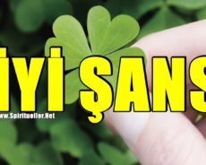 Hayatınıza İyi Şansı Çekmek İçin Kullanabileceğiniz 10 Kelime
