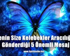 Evrenin Size Kelebekler Aracılığıyla Gönderdiği 5 Önemli Mesaj