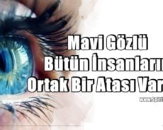 Mavi Gözlü Bütün İnsanların Ortak Bir Atası Vardır