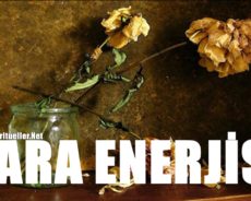 Evde Ne Tür Şeyler Para Enerjisini Engeller