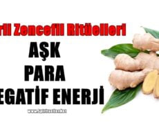 Aşk, Para Çekmek Ve Evi Negatif Enerjilerden Temizlemek İçin   Sihirli Zencefil Ritüelleri