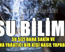 SU BİLİMİ: SU SİZİ DAHA SAKİN VE DAHA YARATICI BİR KİŞİ NASIL YAPABİLİR
