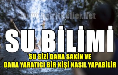 SU BİLİMİ: SU SİZİ DAHA SAKİN VE DAHA YARATICI BİR KİŞİ NASIL YAPABİLİR