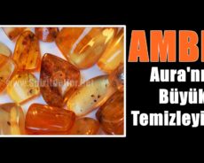 Amber: Aura’nın Büyük Temizleyicisi