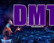 Bilim İnsanları DMT’nin Sizi Paralel Bir Evrene Bağlayabileceğini İddia Ediyor