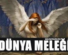 BİR DÜNYA MELEĞİ OLDUĞUNUZU GÖSTEREN 5 KESİN İŞARETLER