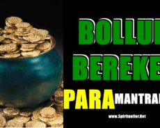 Yaşamınıza Zenginlik ve Bolluk Getirmek İçin Para Mantralarını Kullanın