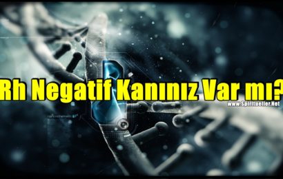 Rh Negatif Kanınız Var mı? Yeni Teori DNA’nızın Dünya’dan Gelmediğini Gösteriyor