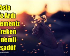 Asla Göz Ardı Etmemeniz Gereken 7 Önemli Tesadüf