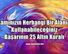 Yaşamınızın Herhangi Bir Alanında Kullanabileceğiniz Başarının 25 Altın Kuralı