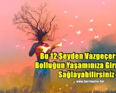 Bu 12 Şeyden Vazgeçerseniz Bolluğun Yaşamınıza Girmesini Sağlayabilirsiniz
