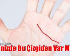 Elinizdeki Bu Çizgi Mutluluğu, Esenliği Ve Uzun Ömürlülüğü İfade Eder – Elinizde Bu Çizgiden Var Mı?