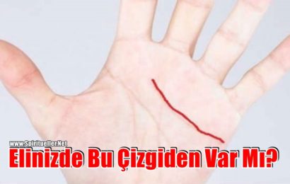 Elinizdeki Bu Çizgi Mutluluğu, Esenliği Ve Uzun Ömürlülüğü İfade Eder – Elinizde Bu Çizgiden Var Mı?