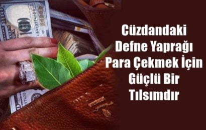 Cüzdandaki Defne Yaprağı Para Çekmek İçin Güçlü Bir Tılsımdır