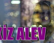İkiz Alev Aşamaları – İkiz Alevler Hakkında