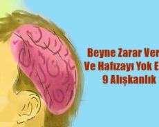 Beyne Zarar Veren Ve Hafızayı Yok Eden 9 Alışkanlık