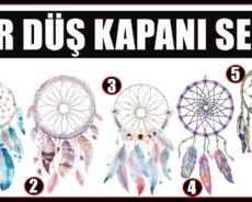 Kişiliğiniz Hakkındaki Şaşırtıcı Gerçekleri Ortaya Çıkarmak İçin Bir Düş Kapanı Seçin